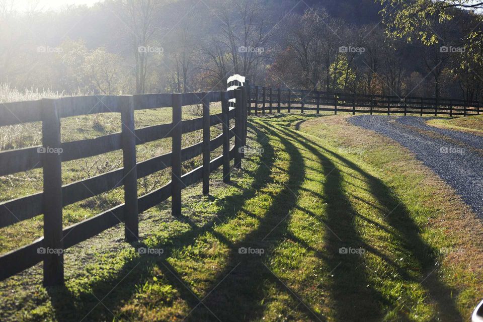 Sunlight passing on fence