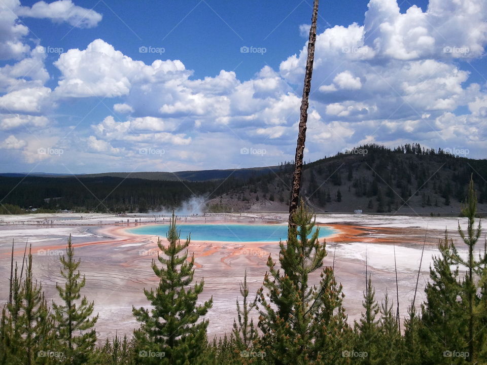 The Grand Prismatic at Yellowstone National Park 
