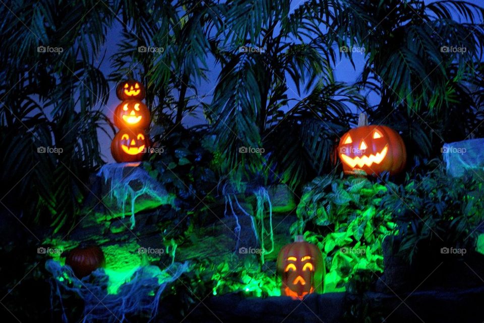Jack-o-lanterns