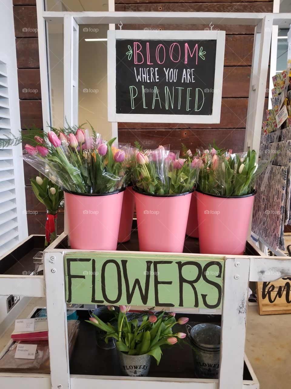 flowers for sale