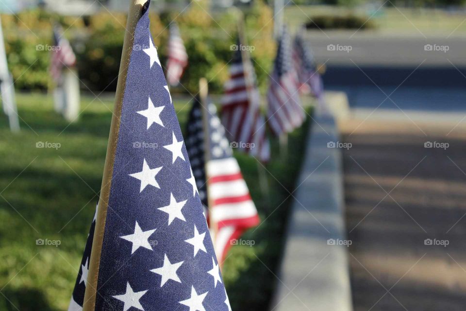 American flags out celebrating independence day