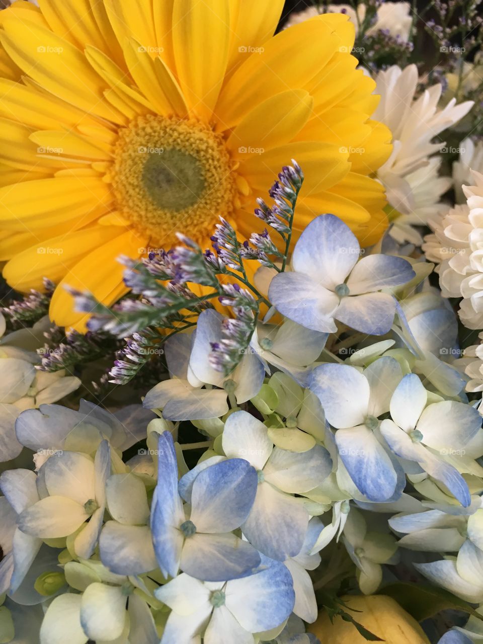 Beautiful hydrangea bouquet