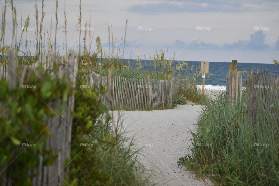 Pathway to Tranquility