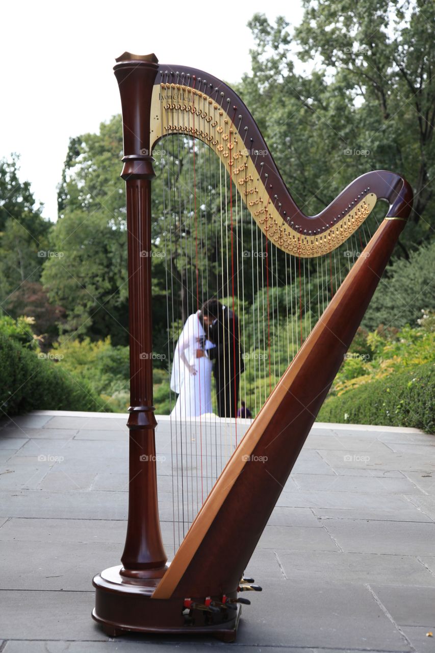 Newlyweds share a kiss in the heart of the harp at the botanical gardens of New york.