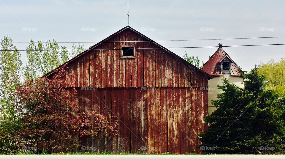 Barn Scene. Barn & Silo