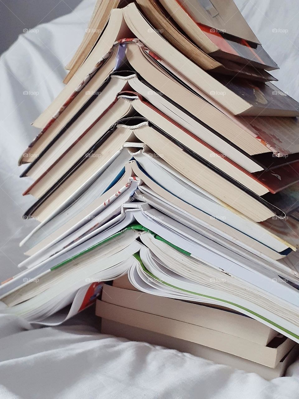 Christmas tree this year