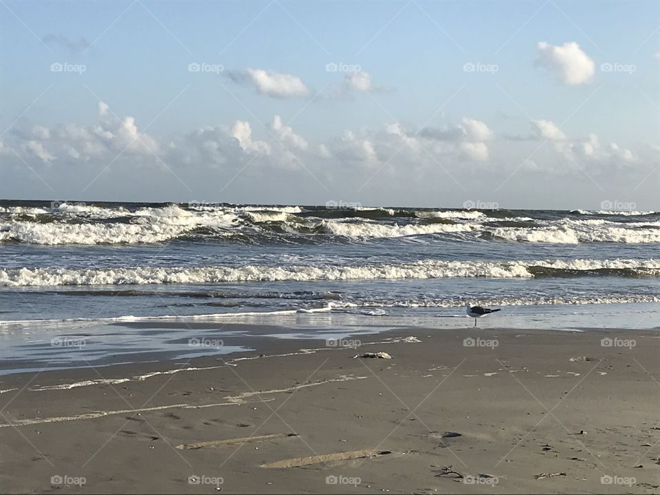 Galveston
