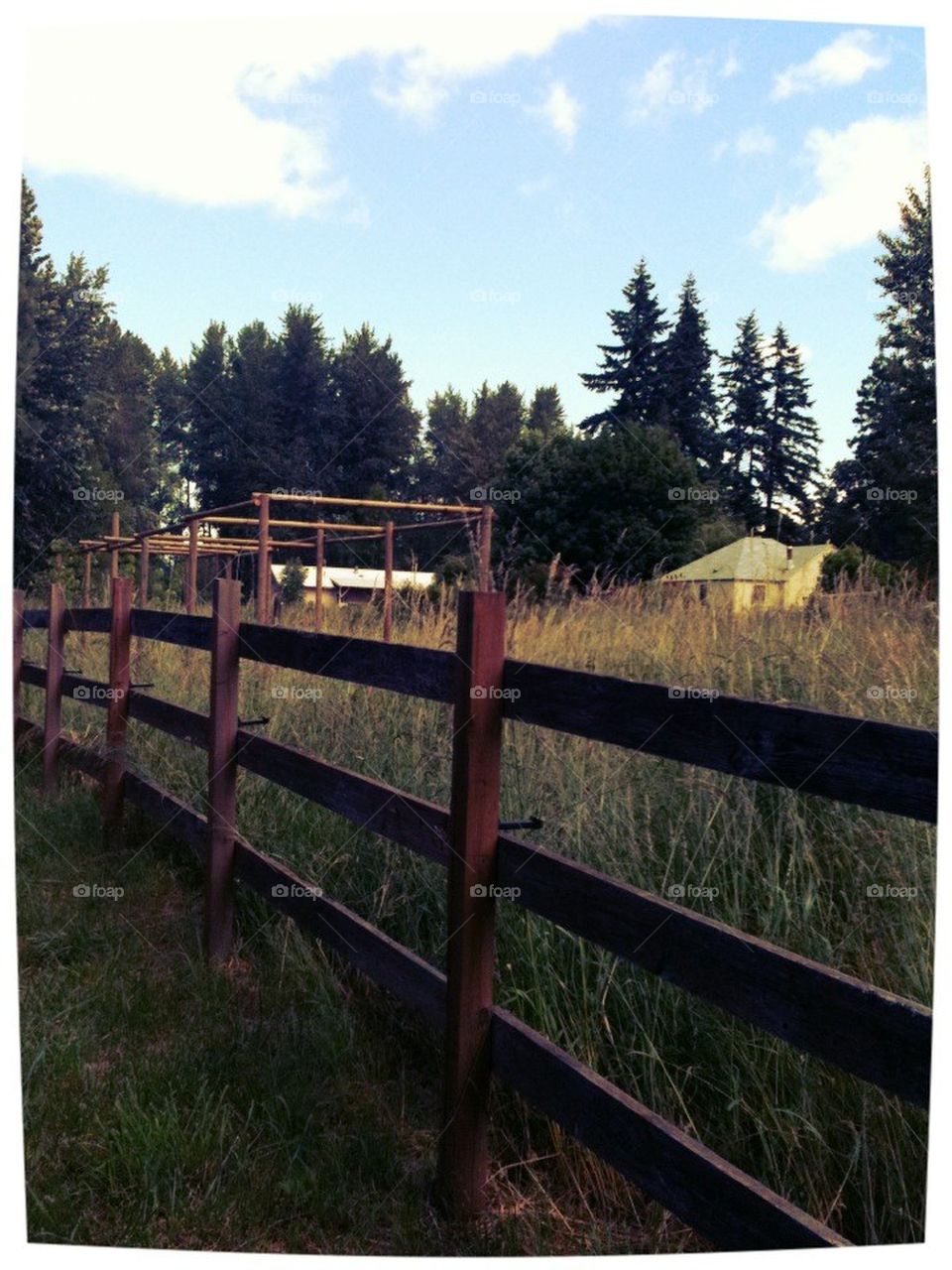 Country fence