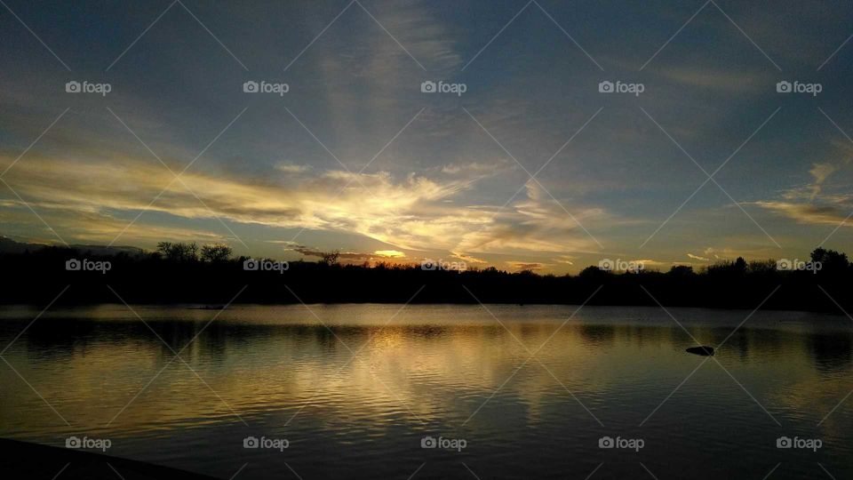 Silhouetted trees and cloud reflecting on lake at dawn