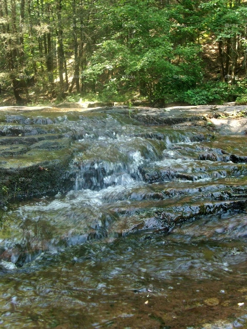 Water, River, Stream, Nature, No Person