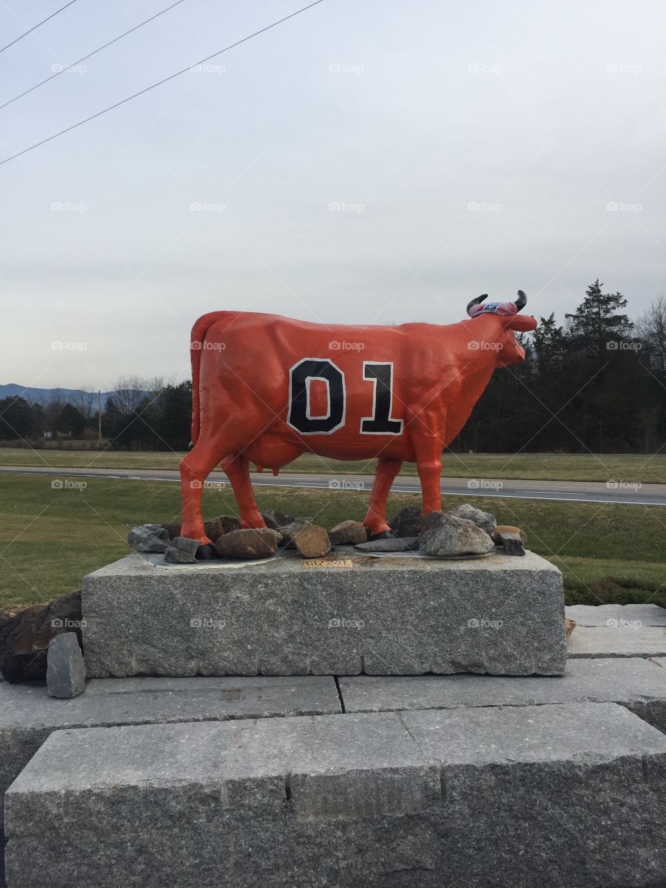 01 Bull outside of Cooter’s Place in Virginia. Dukes of Hazard fans will love it. 