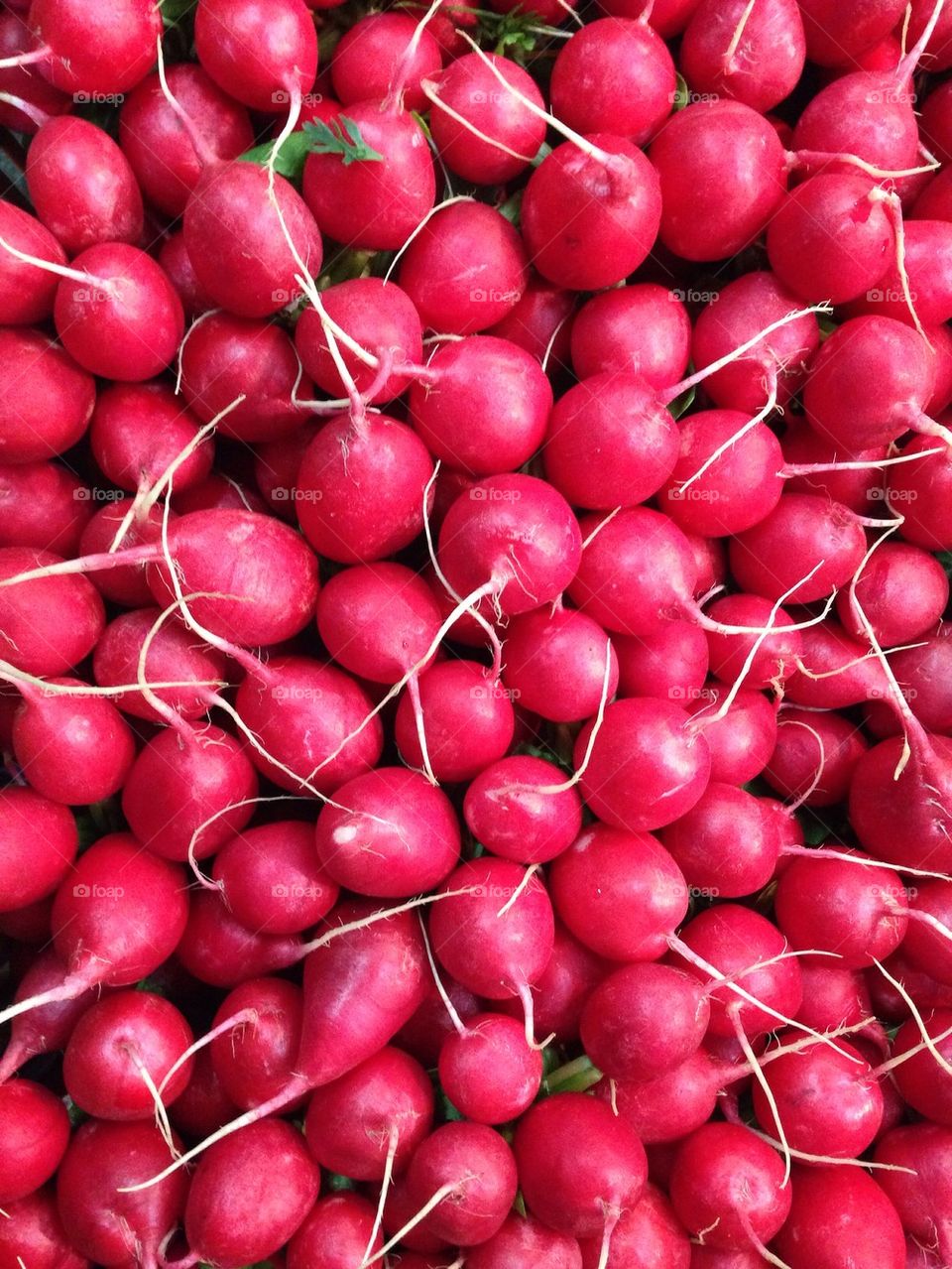 Radishes