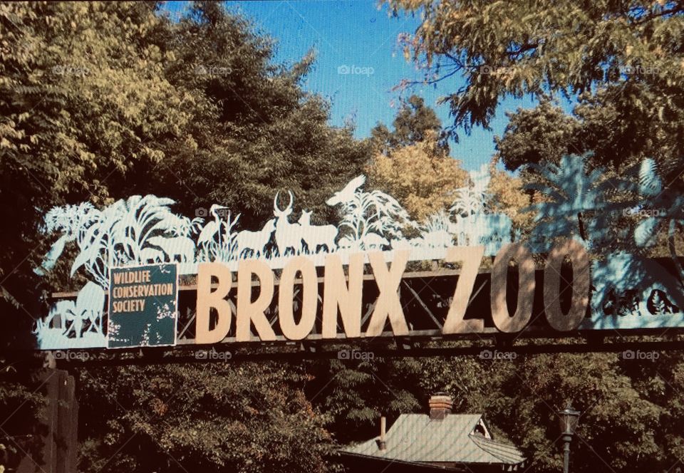 Bronx zoo sign 
