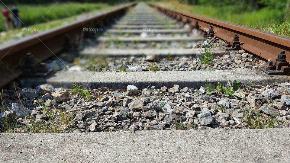 Railway track in the forest