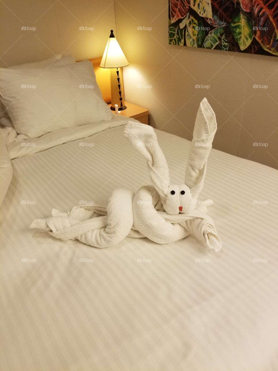 Sexy Bunny Compliments of Carnival Cruise Magic