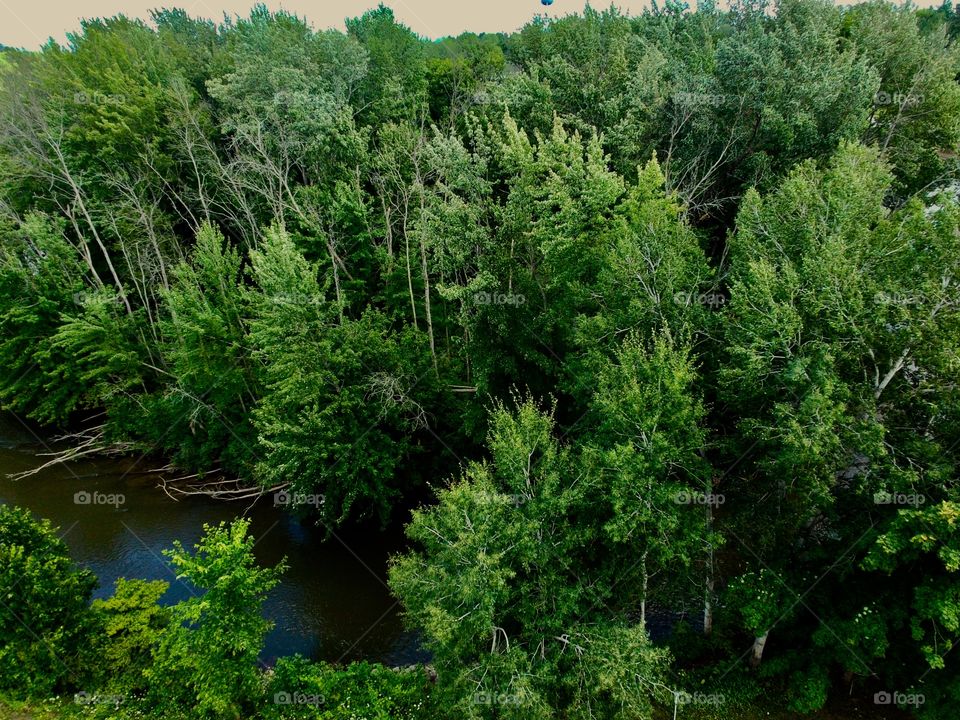 The woods and river in northern Michigan.  I took this using my Breeze 4K drone.  