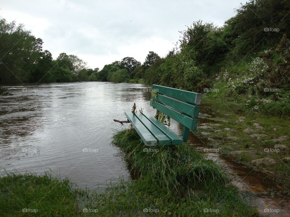 The Flood