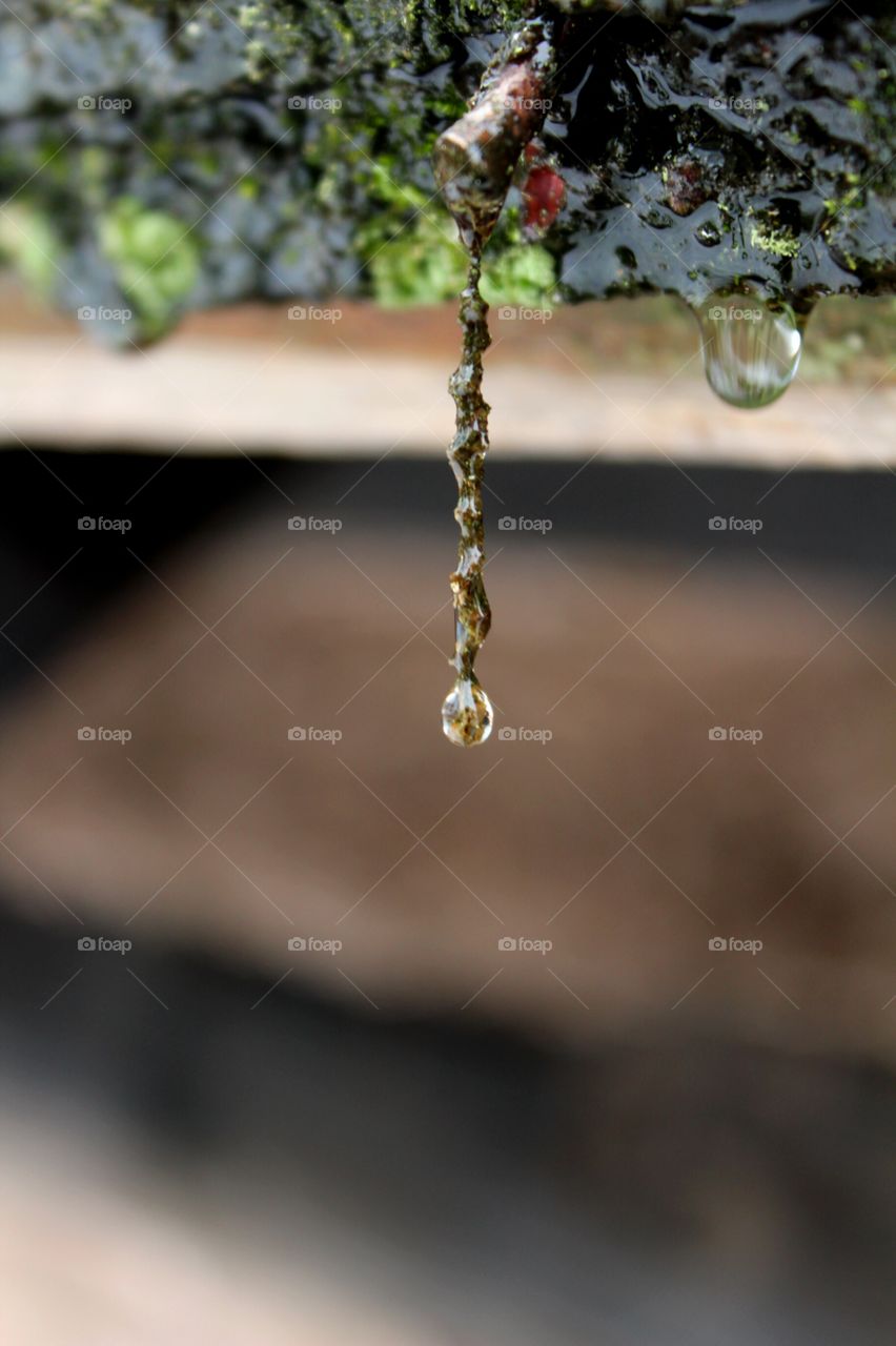 Water drop