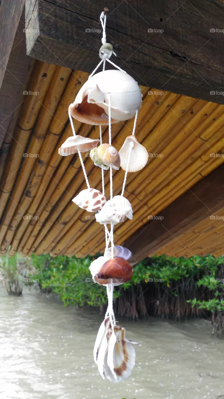 shell