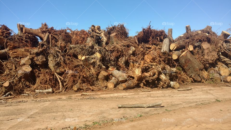 Dry, No Person, Desert, Nature, Landscape