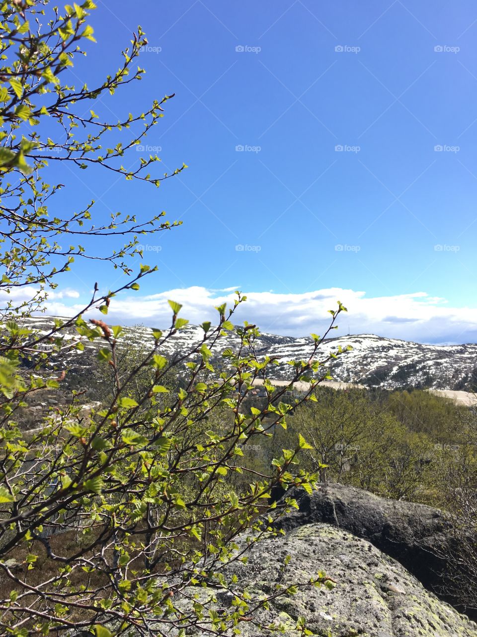 Spring in Knaben Norway