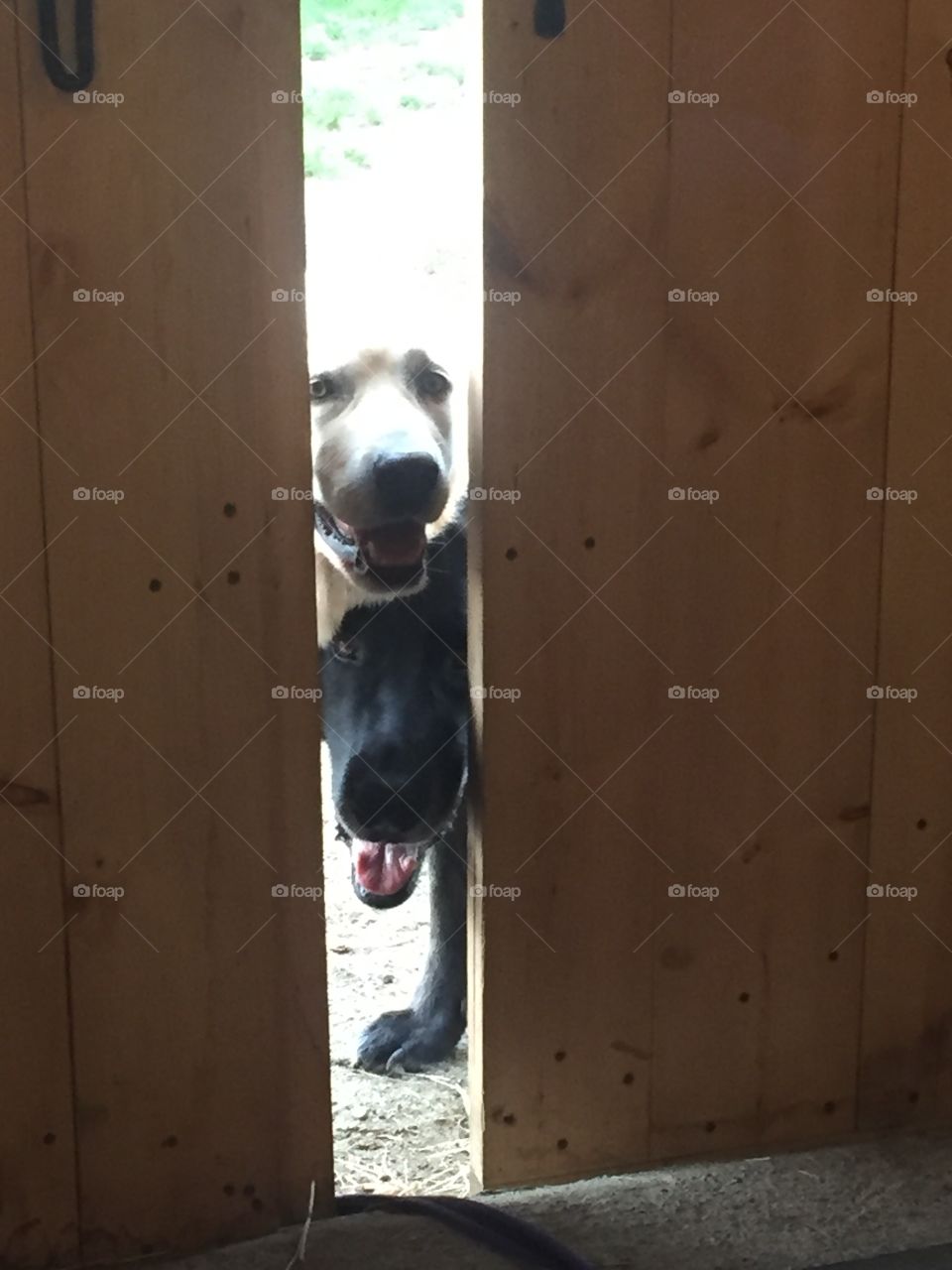 Hey uh can we come in?