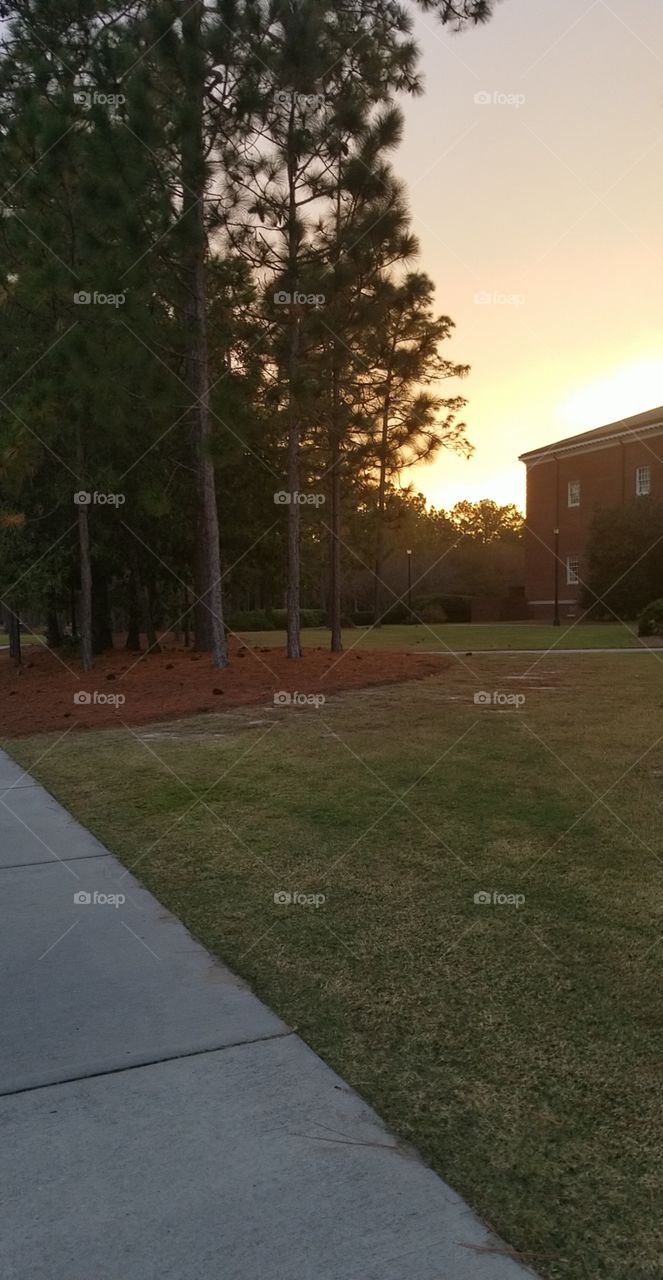 Sunset on College Campus