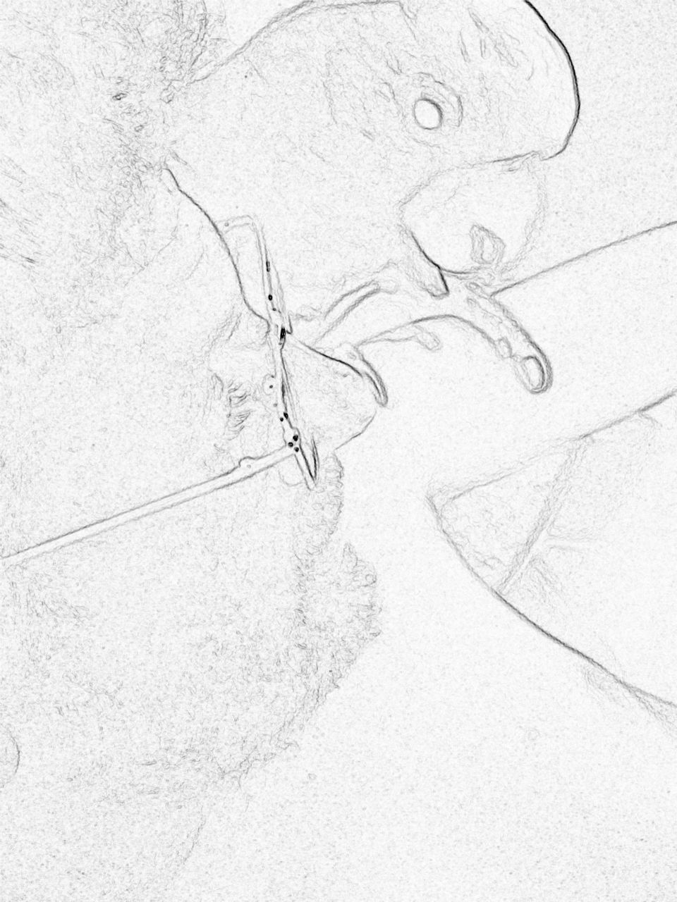 Bird on mans shoulder 