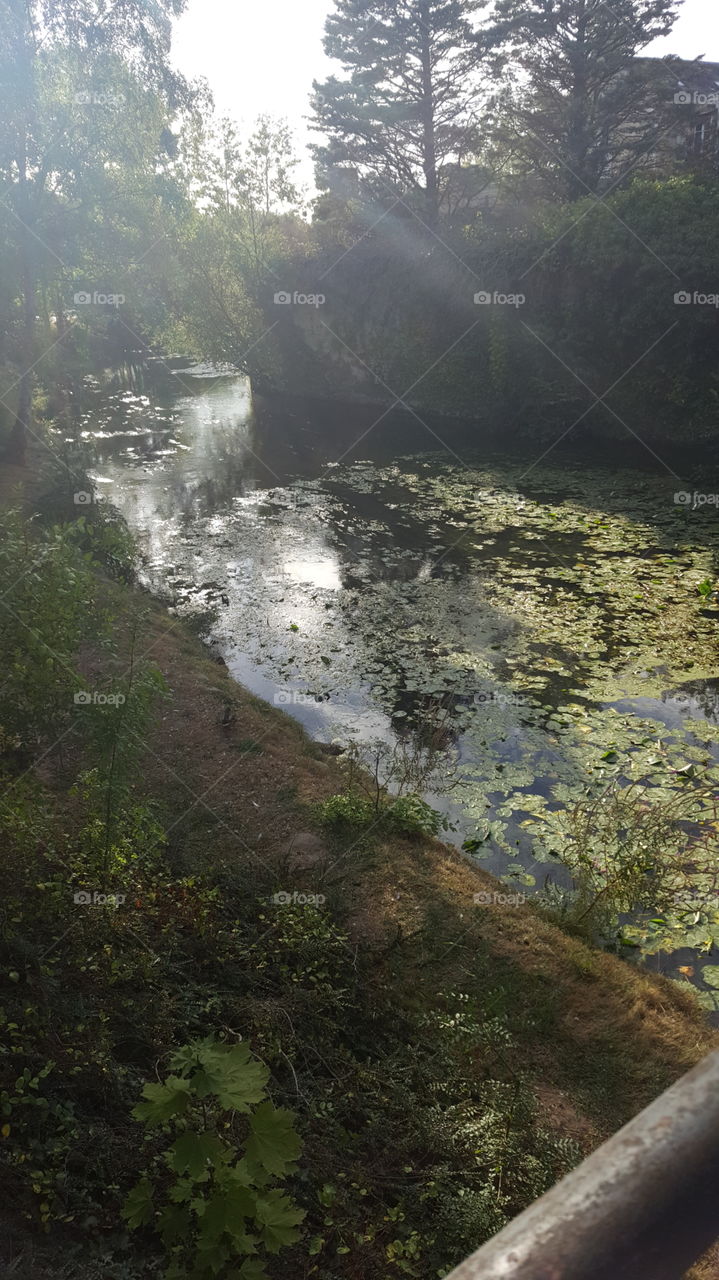 Water, Landscape, River, Waterfall, No Person