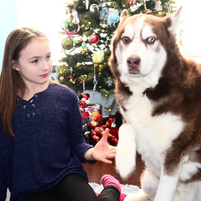 a girl and her husky