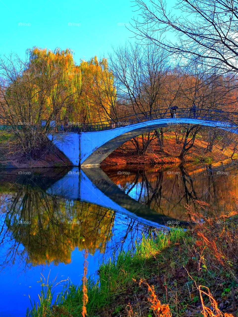 Reflection.  Bridge over the river.  Reflection in the blue water of the bridge and autumn trees