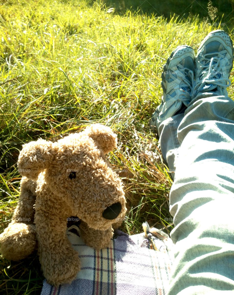 Nature, Grass, Toy, Animal, Outdoors