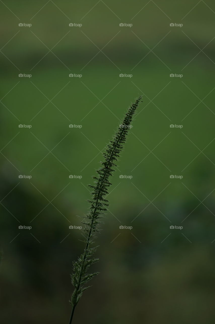 This is my first time