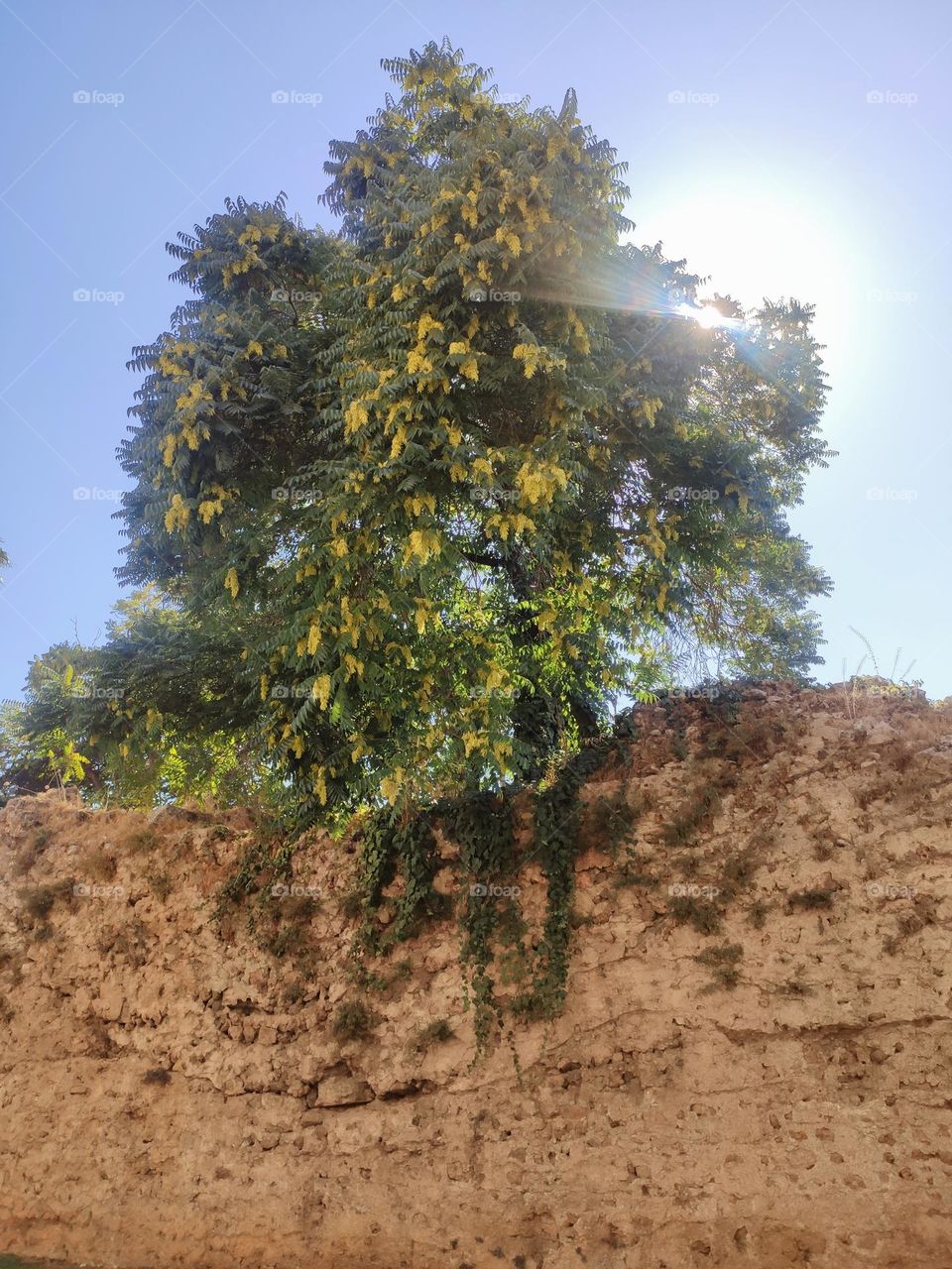 on the verge of a cliff