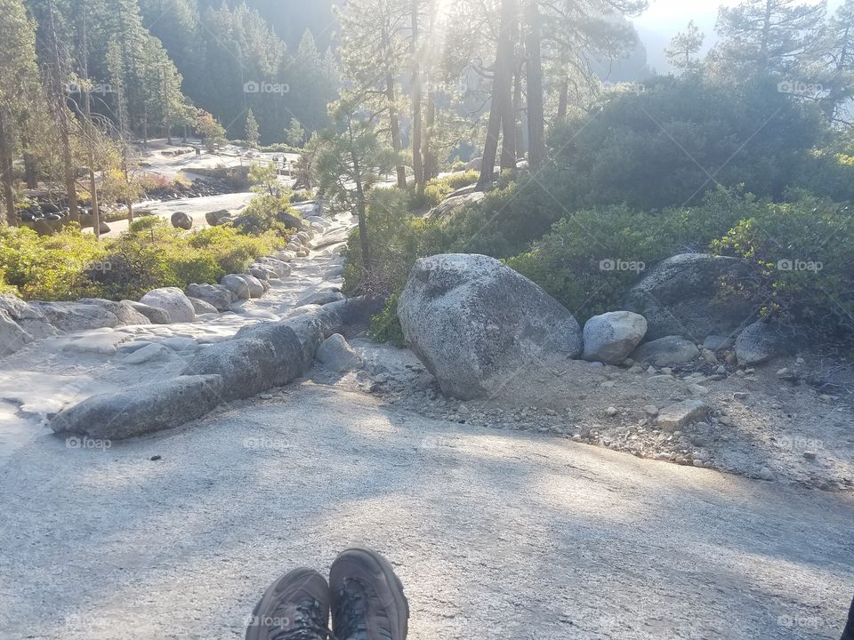 Hiking shoes resting in the wooded nature trail in Yosemite