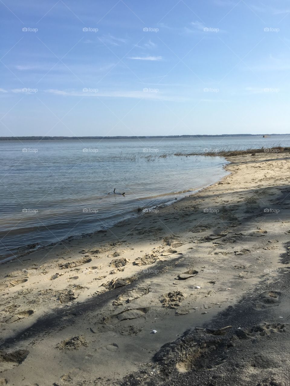 Yorktown beach