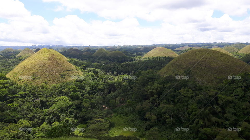 Chocolate Hills in Carmen, Bohol Philippines one of the country's tourist spot.