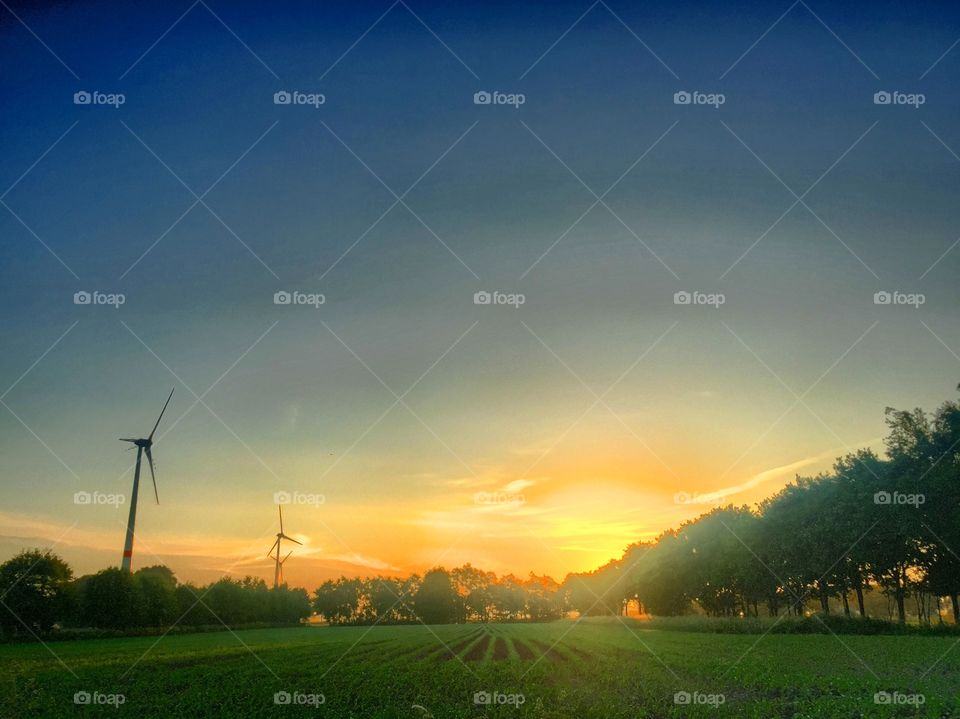 Countryside morningsun this morning