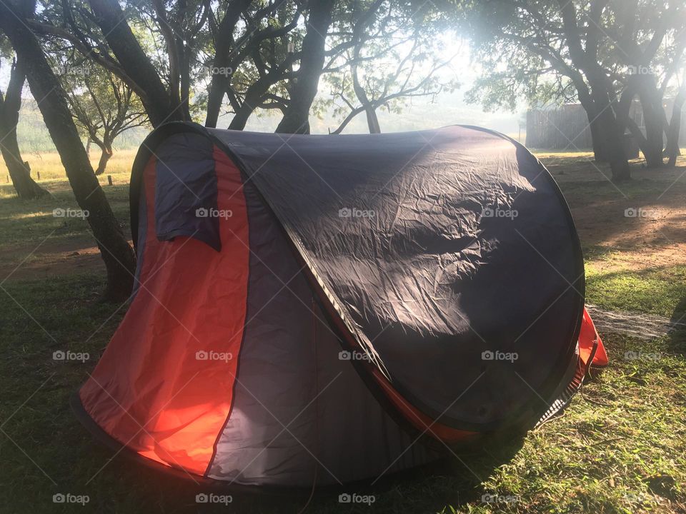 Camping in the wild