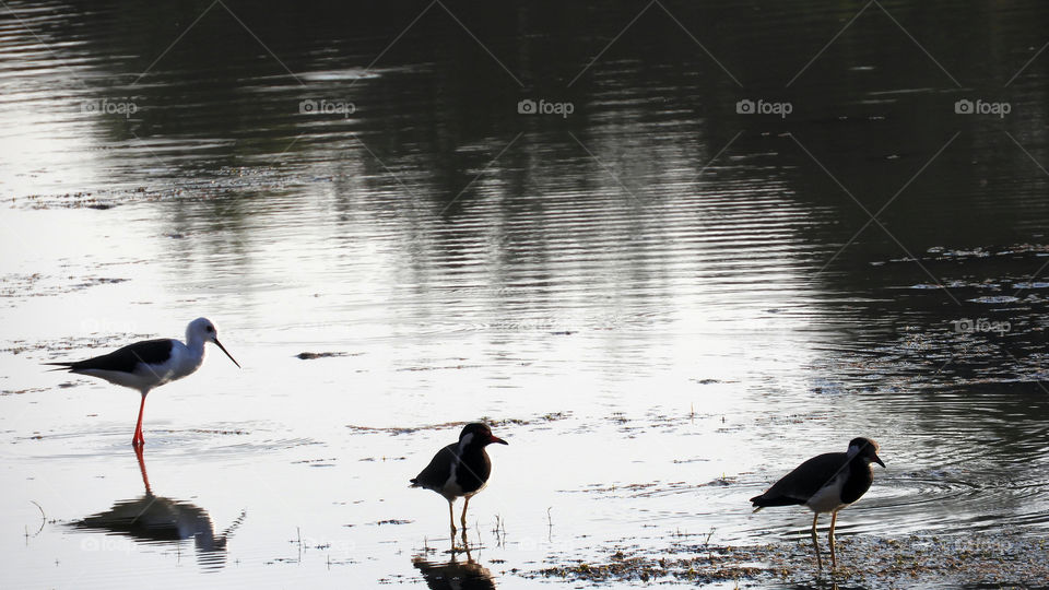 Incredible reflection #Black #Vadodara