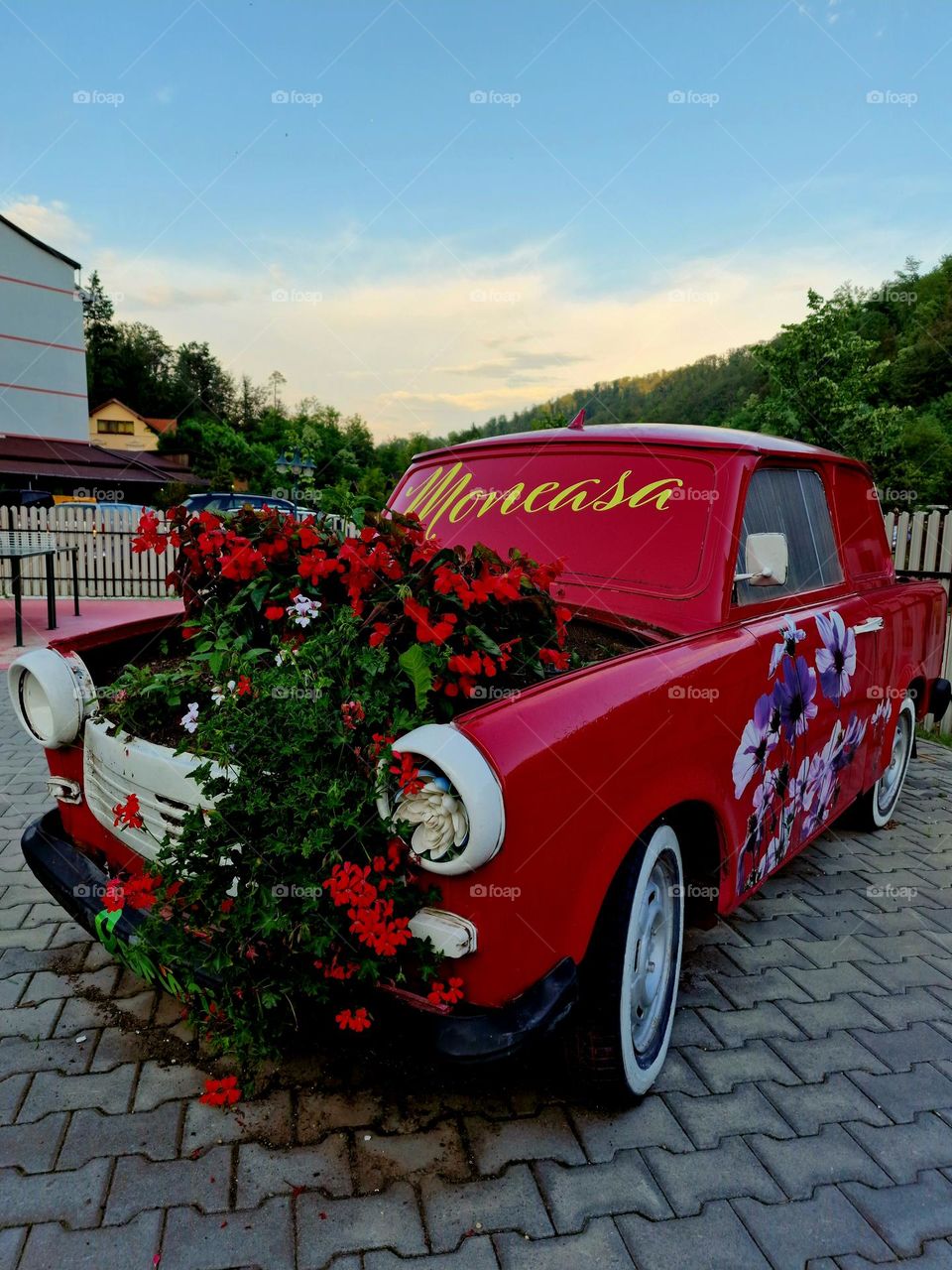 red flowers in a red Trabant