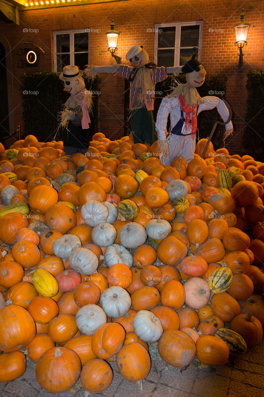 Pumpkins at display at market in Copenhagen Denmark.