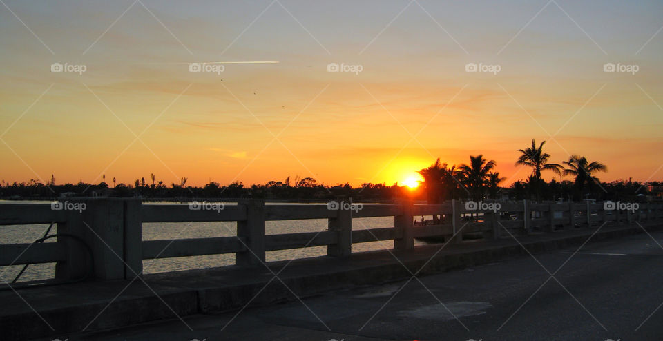 sunset palm trees water by delvec