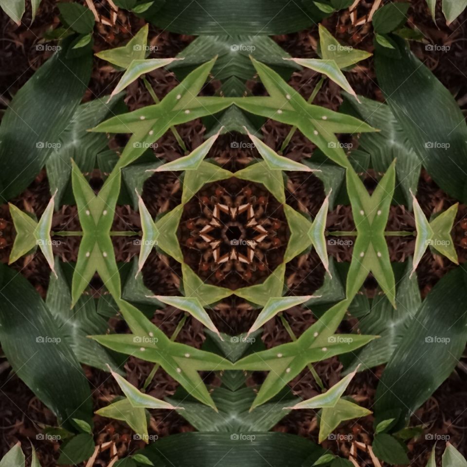 leaves kaleidoscope