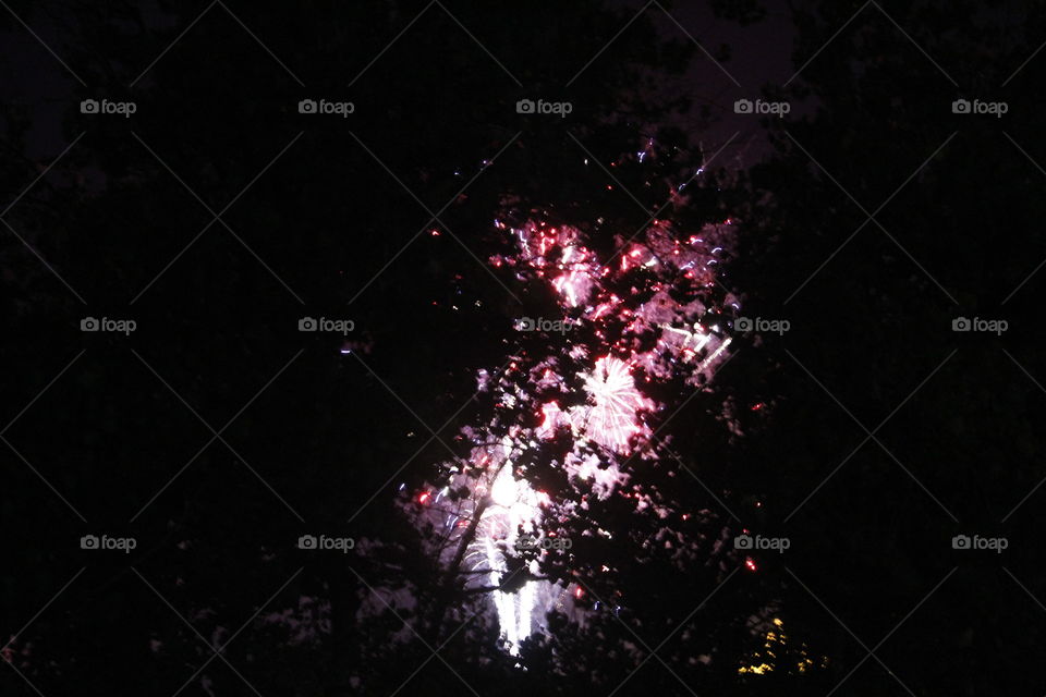 Fourth of July fireworks through the trees