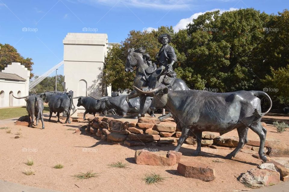 Branding the Brazos, Waco, TX