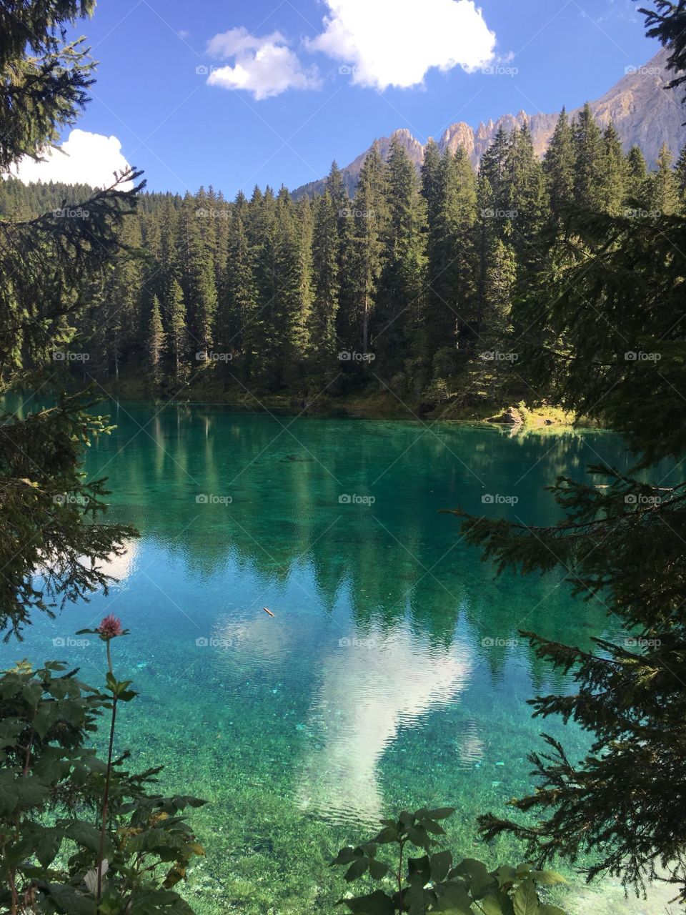 The wonderful Lago di Carezza in Trentino Alto Adige