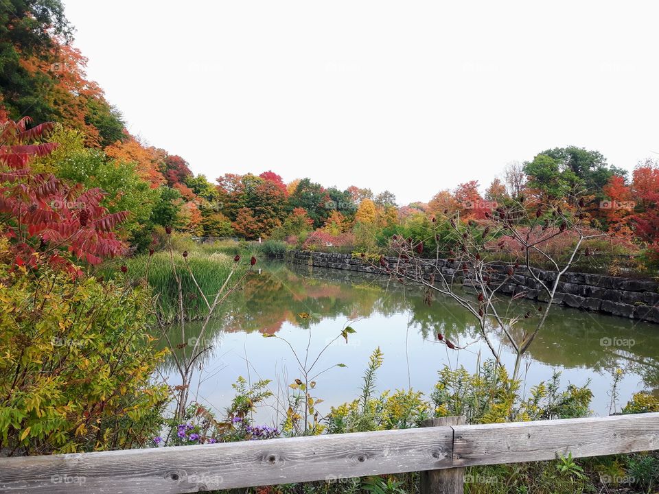 Fall pond