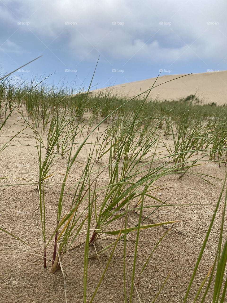 The presence of vegetation on the dunes adds a touch of greenery to the otherwise sandy landscape. 
The sky is cloudy with patches of blue, suggesting a partially overcast day.