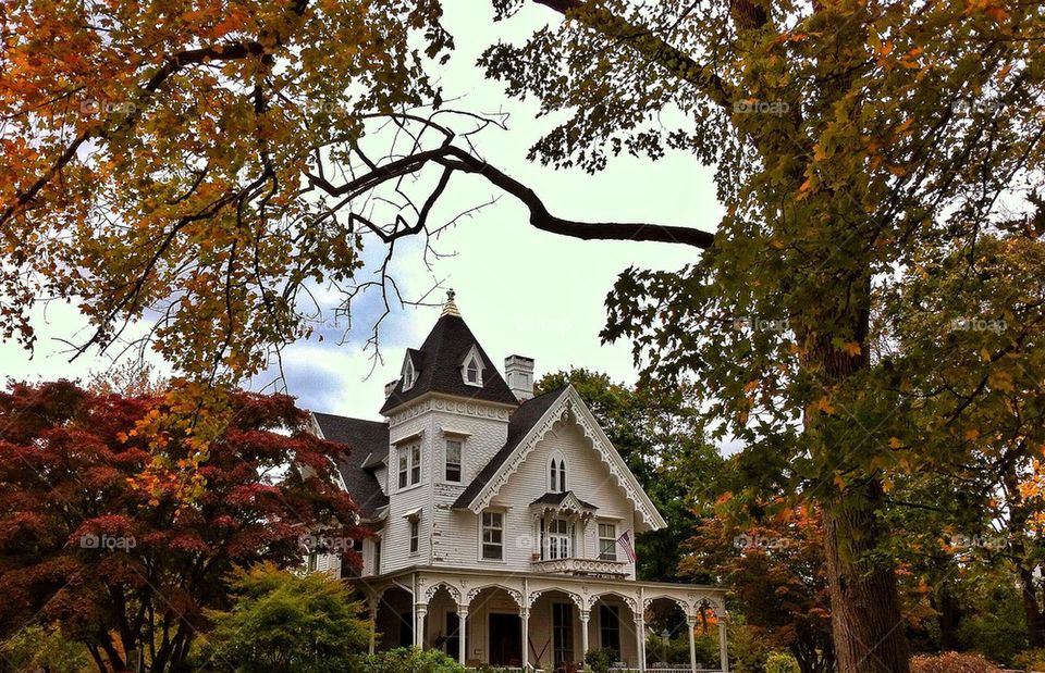 Autumn trees behind house